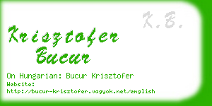 krisztofer bucur business card